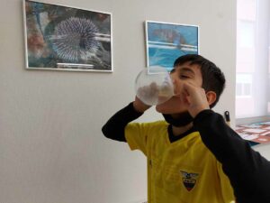 Deutsche Schule Toulouse, Teilnehmer an Jugend forscht 2022