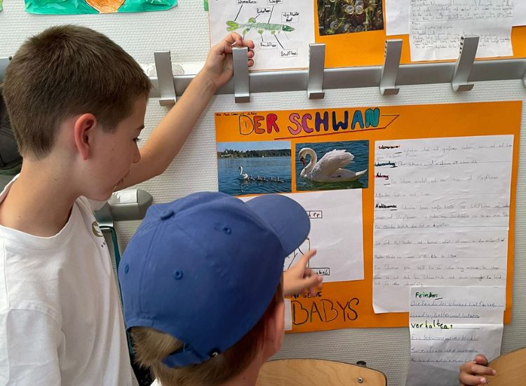 Deutsche Schule Toulouse : Kinder vor einem Infoplakat über Schwäne