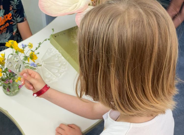 Deutsche Schule Toulouse : Mädchen betrachtet Blütenstaub mit einer Lupe