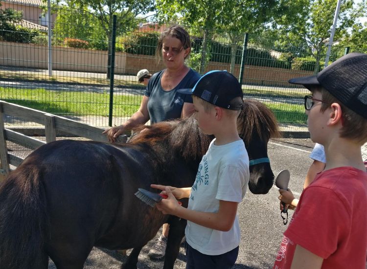 Deutsche Schule Toulouse: Kinder bürsten ein Pony