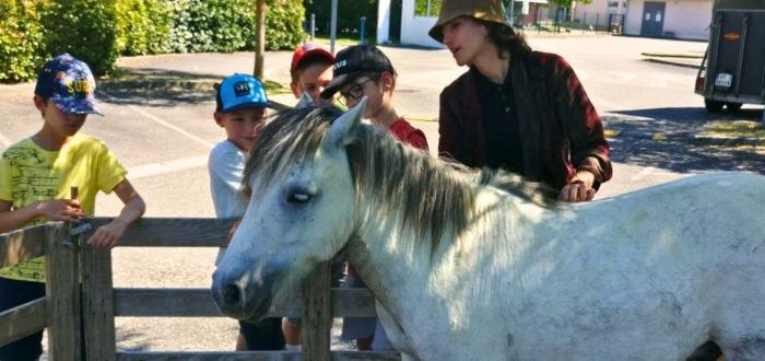 Deutsche Schule Toulouse: Kinder streicheln ein Pony