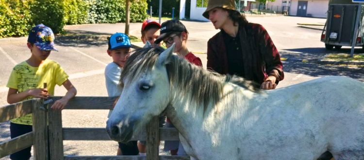 Deutsche Schule Toulouse: Kinder streicheln ein Pony