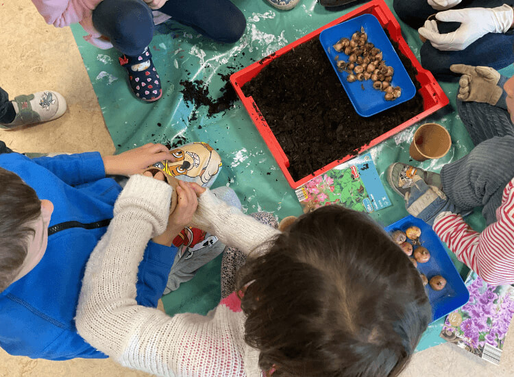 Deutsche Schule Toulouse Kinder beim Pflanzen von Blumenzwiebeln