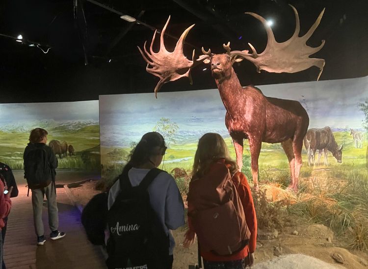 Kinder vor einem Hirsch im Musée Préhistoire