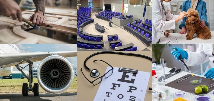 Deutsche Schule Toulouse, Collage Bilder verschiedener Berufe