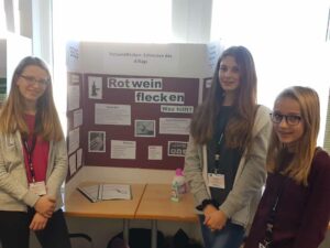 Deutsche Schule Toulouse, Teilnehmer an Jugend forscht 2018