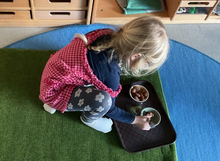 Kindergartenkind legt Nüsse von einer Schale in die andere